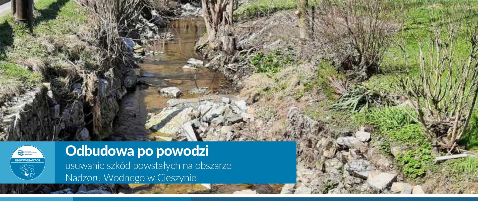 Ogłoszenie postępowania przetargowego celem wyłonienia wykonawcy prac naprawczych na obszarze działania Nadzoru Wodnego w Cieszynie 