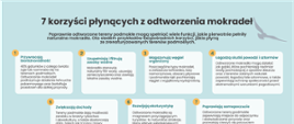 INFOGRAFIKA - 7 korzyści płynących z odtworzenia mokradeł.