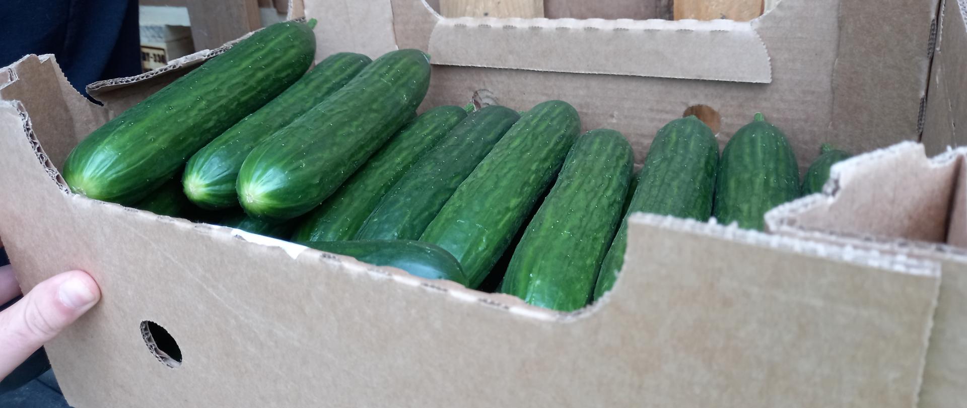 ogórki zielone w kartonowym opakowaniu