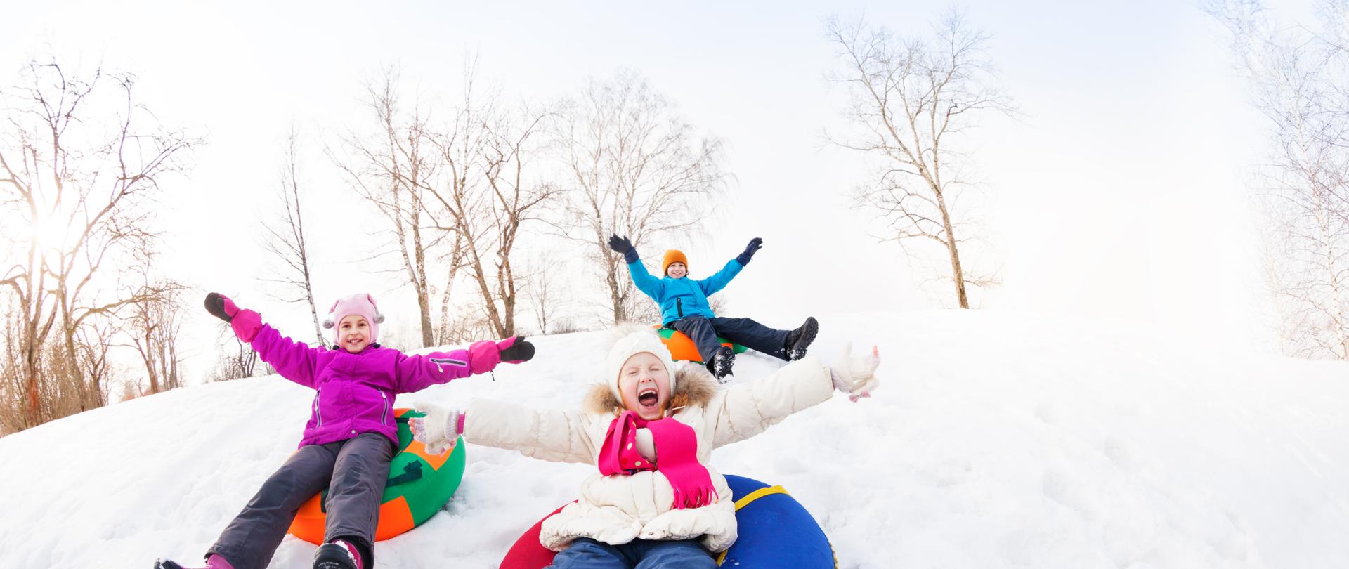 Excited group of children sliding down on the tubes together during beautiful winter day with trees trunks on the background