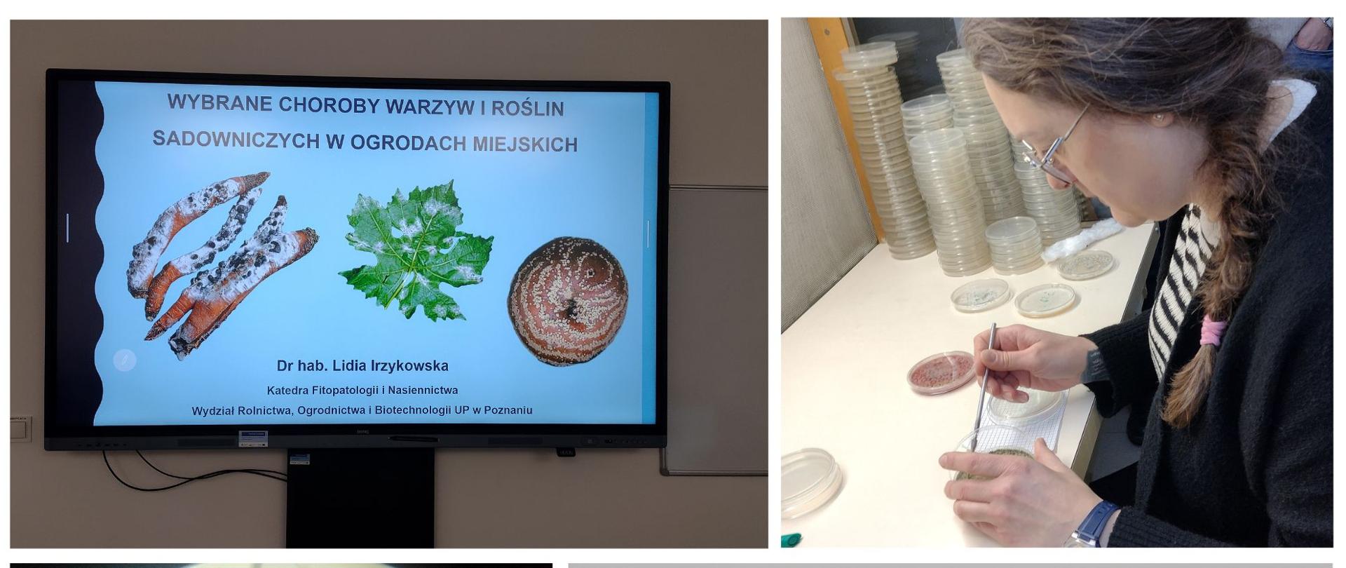 Podnoszenie kwalifikacji pracowników WIORiN w Poznaniu