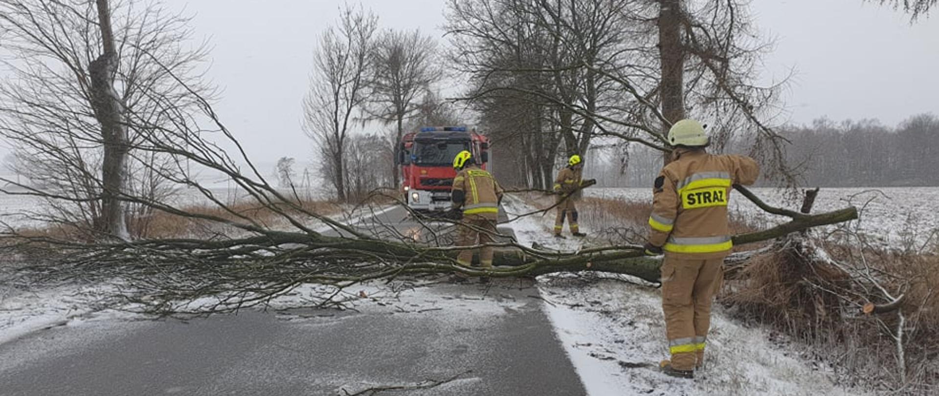 Strażacy OSP w piaskowych ubraniach specjalnych w białych hełmach usuwają przewrócone drzewo w poprzek drogi. Pobocze zawiane sypkim śniegiem. W tle stoi czerwony samochód ratowniczo-gaśniczy.