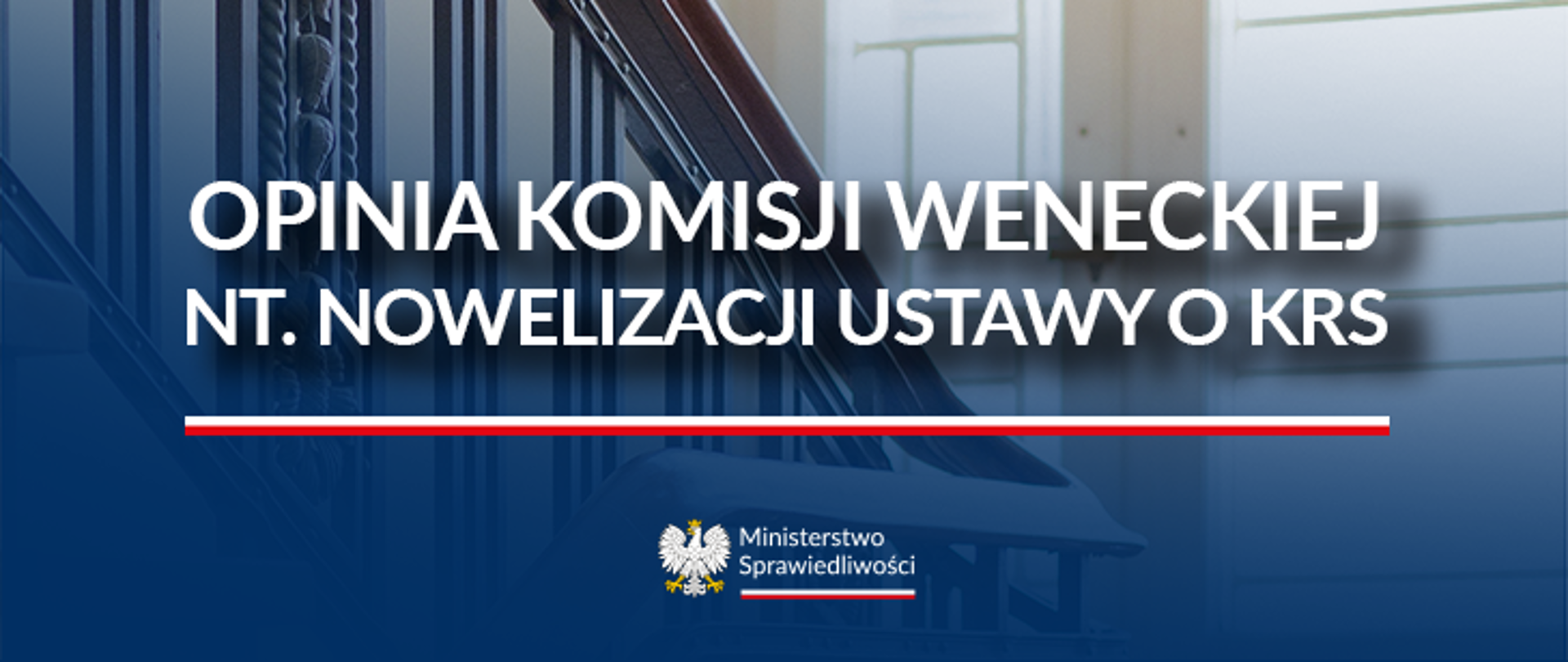 Opinia komisji weneckiej - grafika