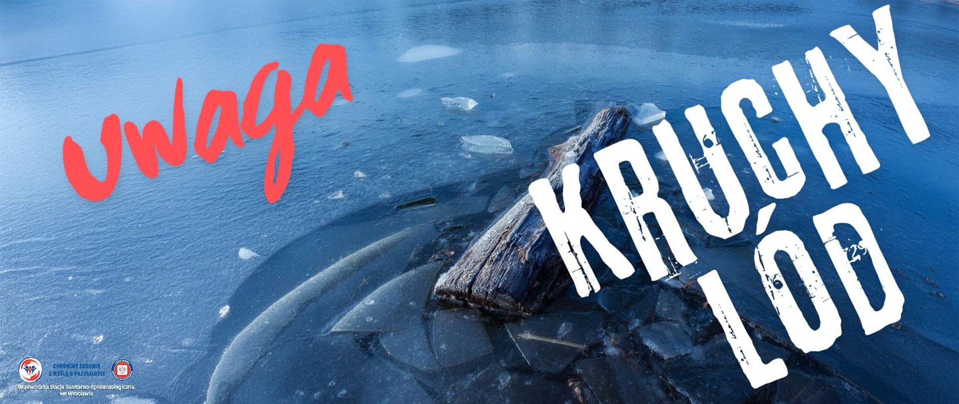 Wystający spod popękanego lodu konar drzewa