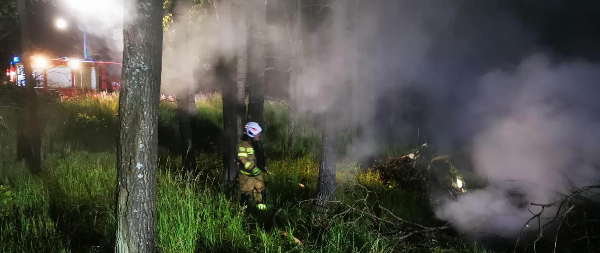Zdjęcie przedstawia akcje gaśniczą w lesie.