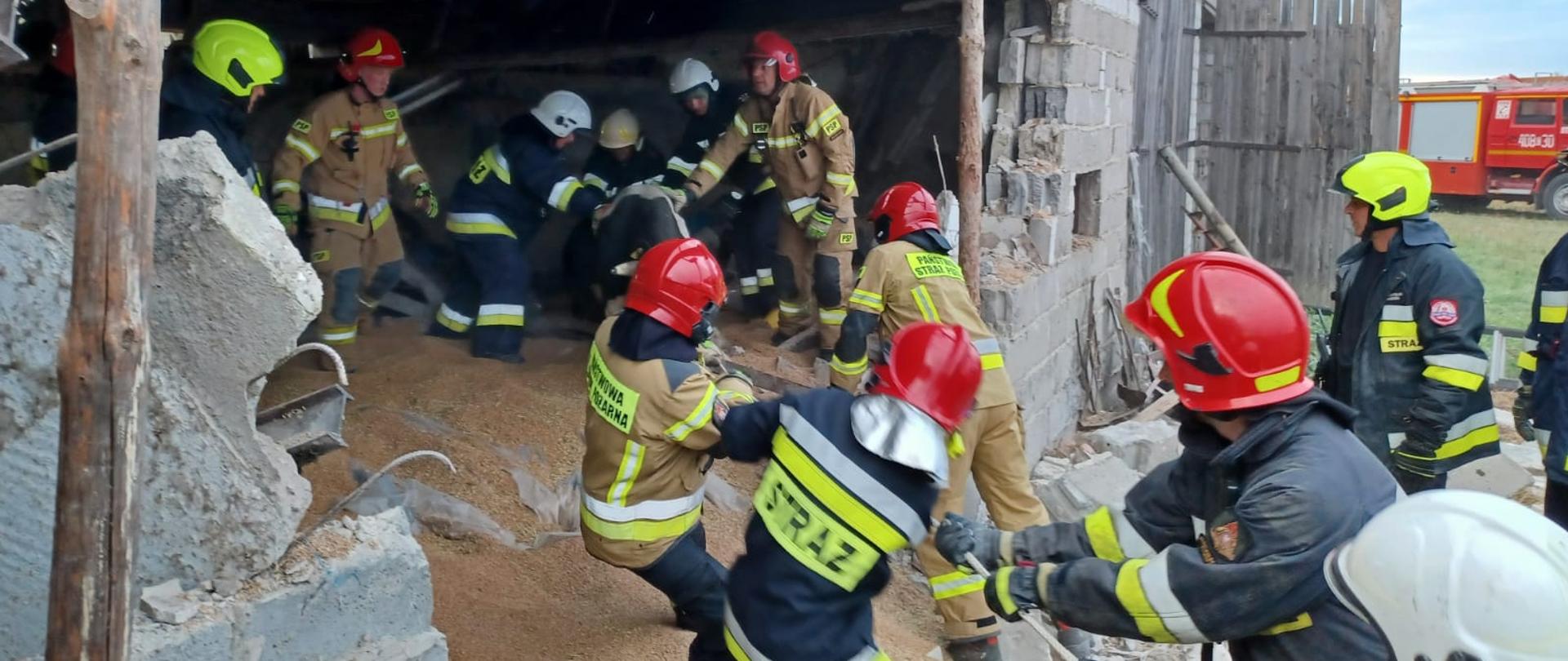 W środkowej części zdjęcia widać grupę strażaków stojących w zwałach gruzu i zbożu wyciągających przy pomocy liny krowę z częściowo zawalonego budynku inwentarskiego. W prawej górnej części zdjęcia widać częściowo zawaloną ścianę podpartą stemplami. 