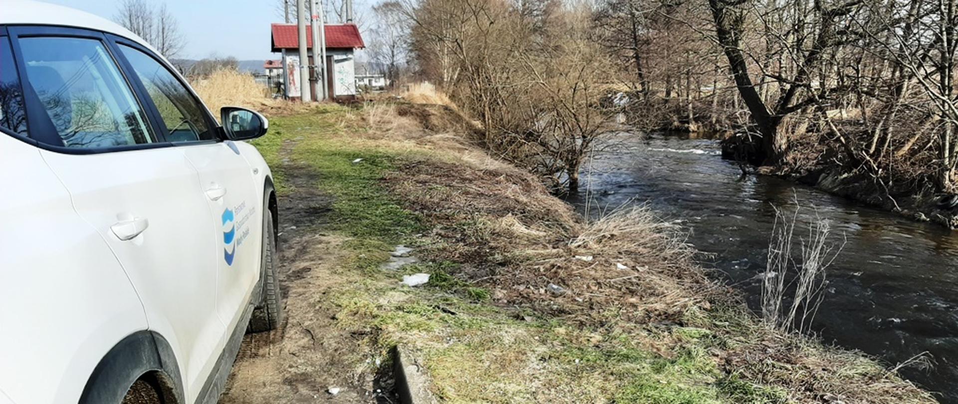 RZEKA_REDA_PRZY_JAZIE_W_MIEŚCIE_REDA