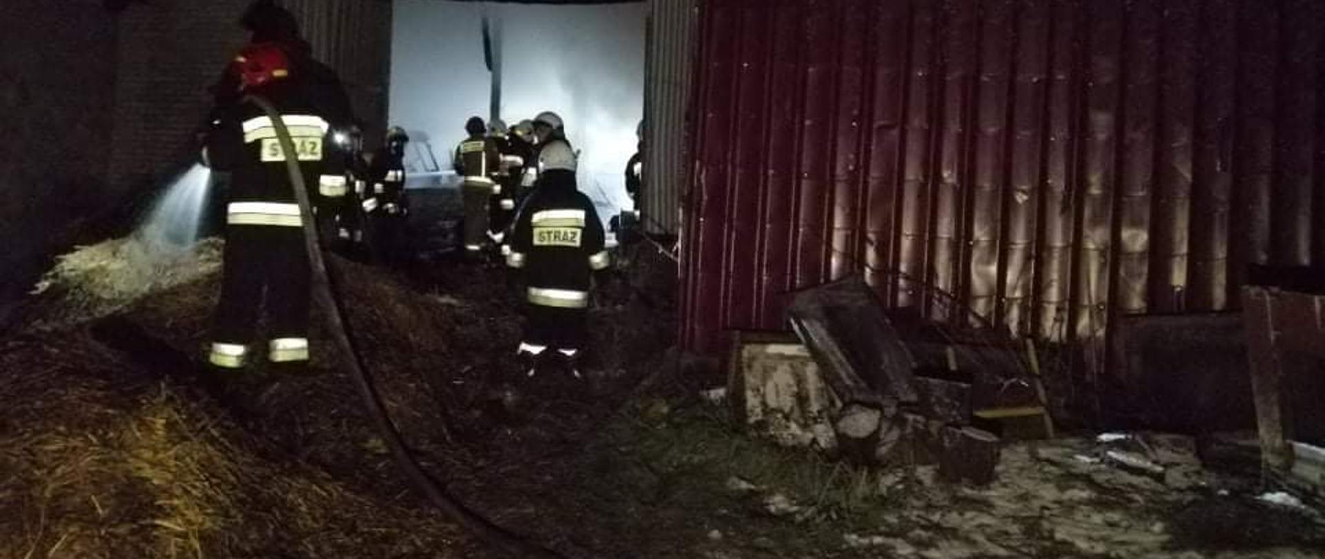 Strażacy gaszący pożar stodoły. Na pierwszym planie strażak z linią gaśniczą przelewa wodą tlącą się słomę znajdująca się już na zewnątrz budynku. 