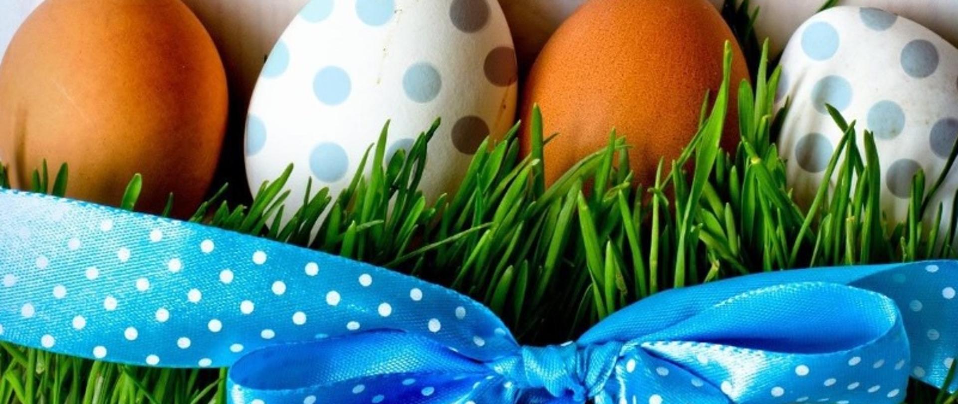 Kolorowe jajka w szare kropki na zielonej trawie i niebieska kokarda w białe kropki