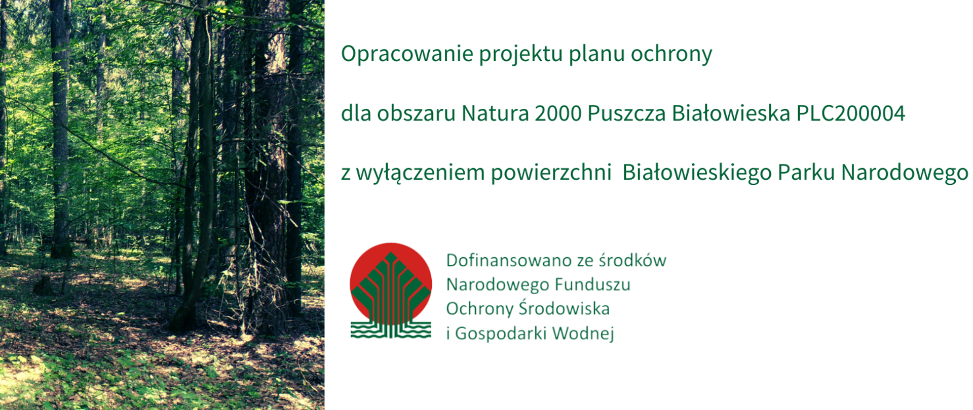 Projekt planu ochrony dla obszaru Natura 2000 Puszcza Białowieska