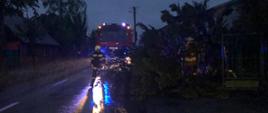 Na drogę z prywatnej posesji przewróciło się drzewo, które zawisło na płocie. Jeden ze strażaków przecina je. Z drugiej strony stoi na drodze strażak. 