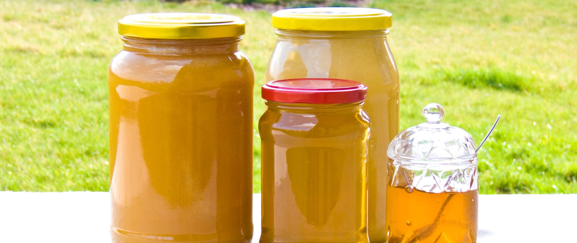 Miód Ziemi Brzezińskiej, Wzniesień Łódzkich i Rawki