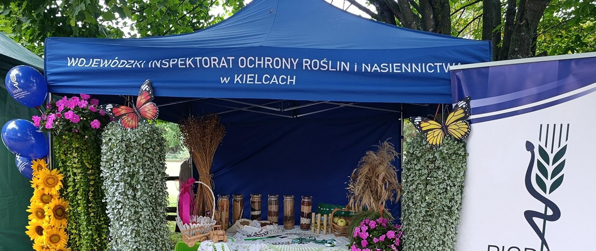 Pracownica WIORiN Kielce przy bogato ozdobionym stoisku przykucnęła, aby ułożyć warzywa i owoce. 