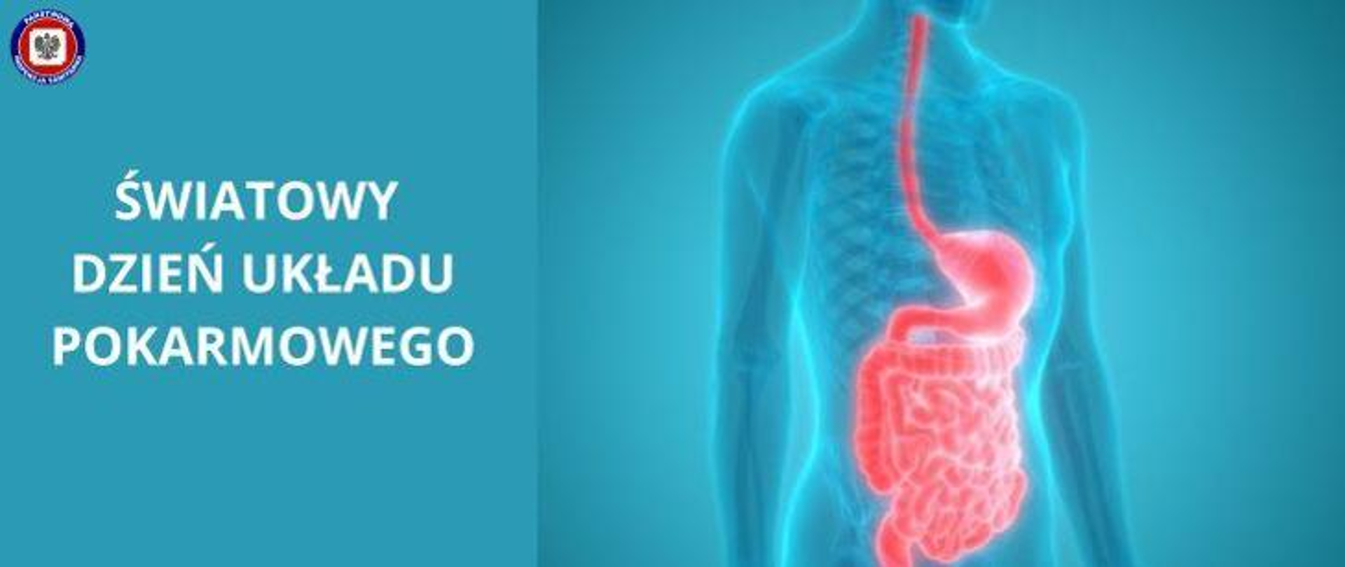 Światowy Dzień Układu Pokarmowego