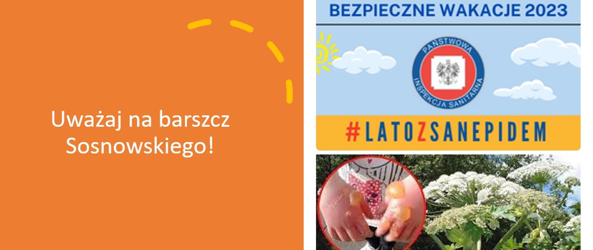 #latozsanepidem_-_barszcz_sosnowskiego