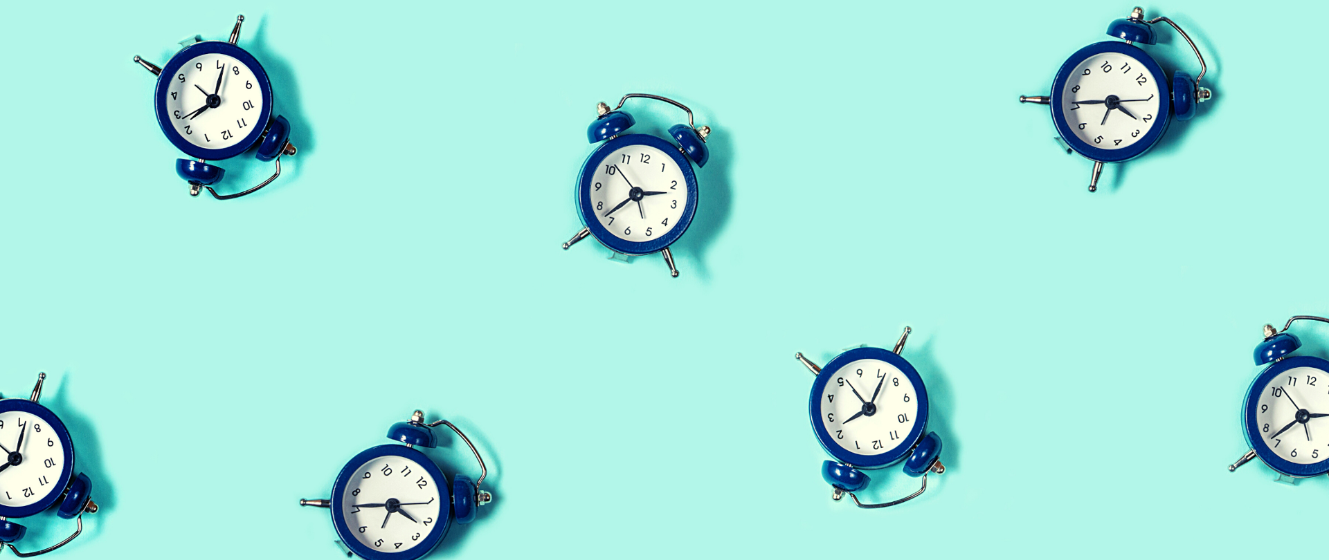 Granatowe budziki (7 sztuk) z białymi tarczami na jasnozielonym tle