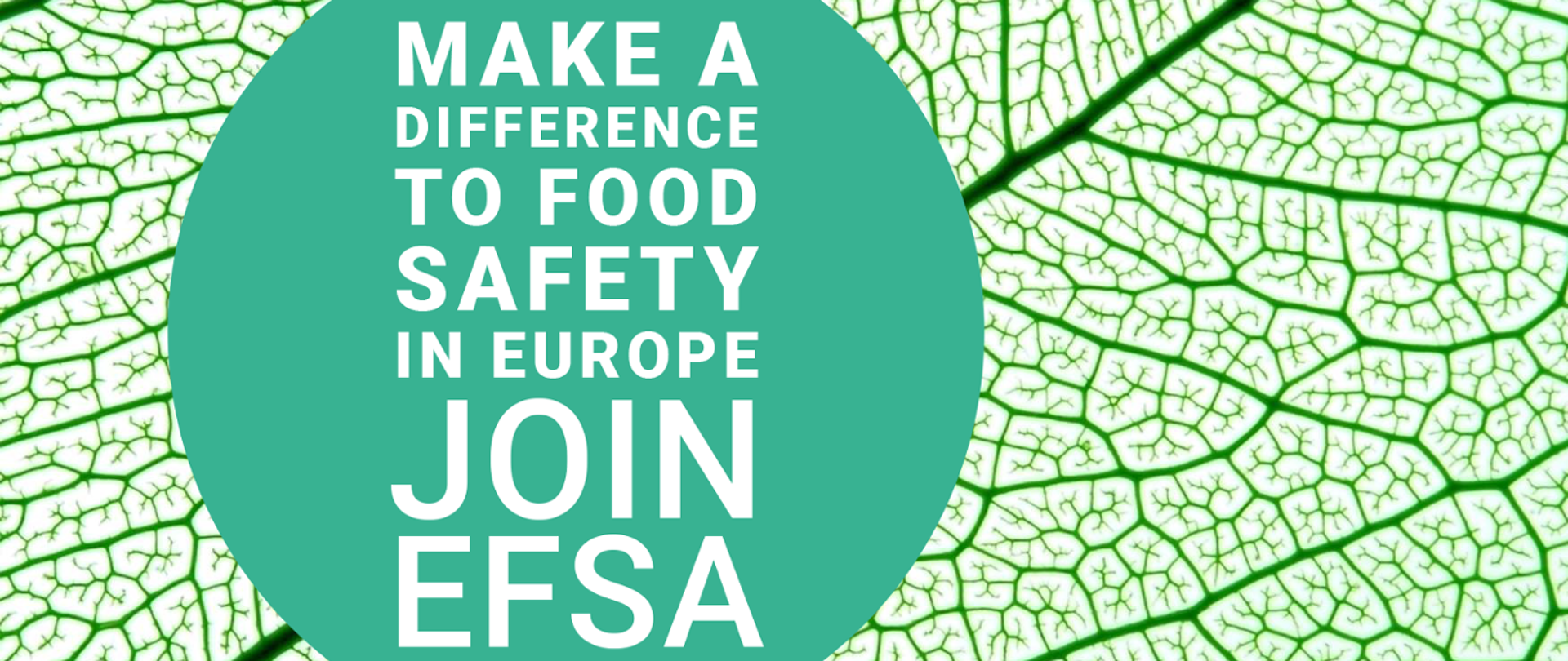 Zaproszenie do programu EFSA