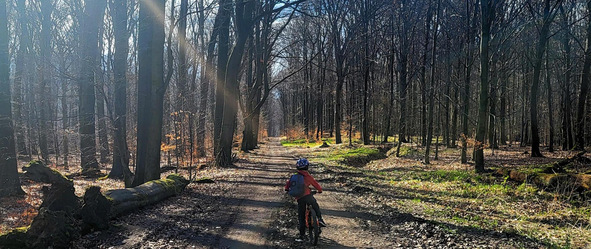 Ścieżka pieszo-rowerowa w rezerwacie Las Murckowski z rowerzystą