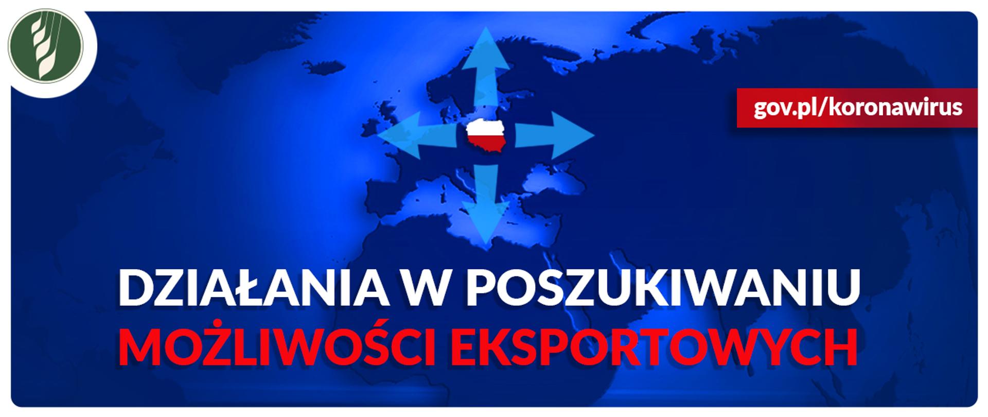 Działania w poszukiwaniu możliwości eksportowych - infografika