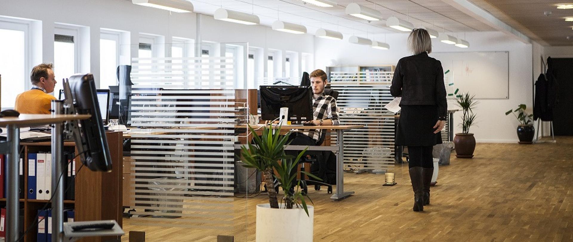 Biuro, w którym przy komputerach pracuje dwóch mężczyzn, a kobieta idzie z dokumentami.