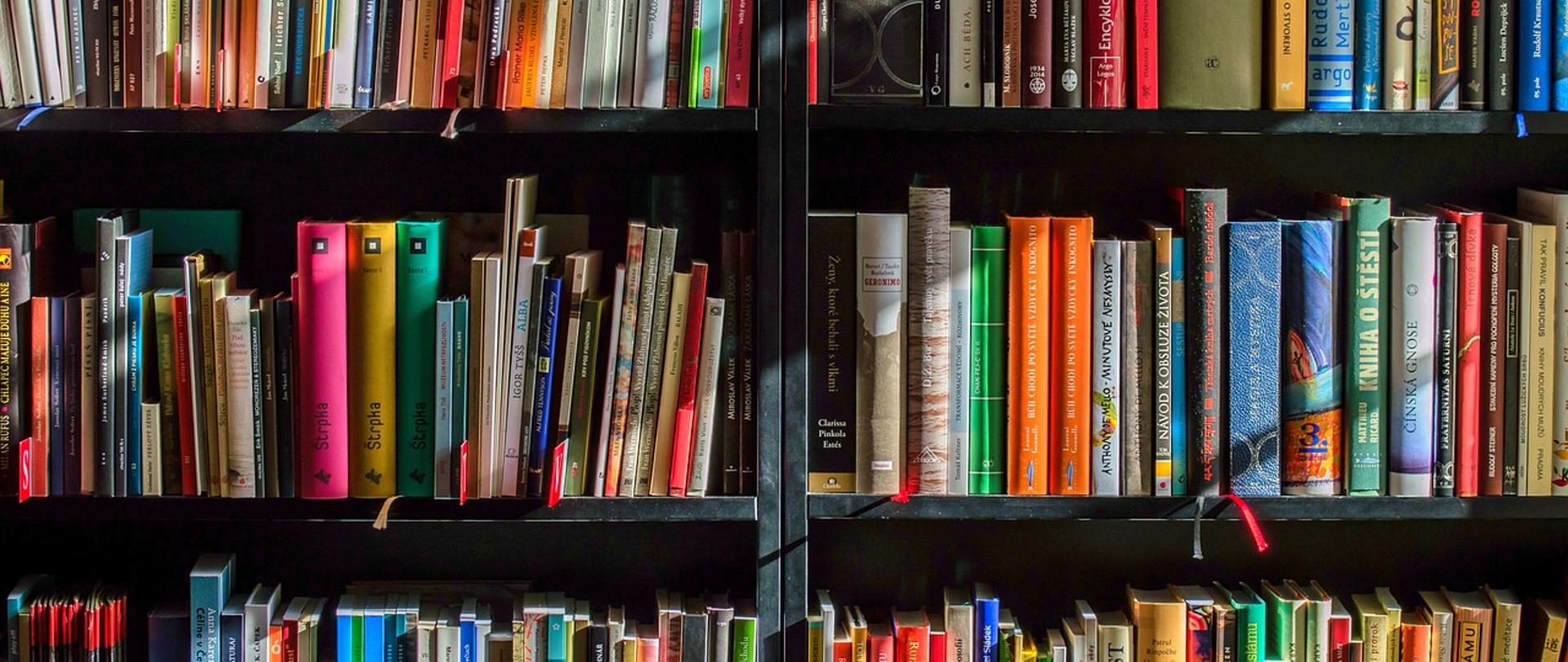 Kolorowe książki znajdujące się na trzech półkach. Oświetlone z górnego prawego rogu. Elementy wystające z półek rzucają cień 