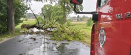 Zdjęcie przedstawia powalone drzewa po nawałnicy oraz strażaków w trakcie prowadzenia działań. 