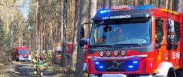 Wóz strażacki stoi na leśnej drodze podczas działań gaśniczych, a strażacy przygotowują sprzęt wśród wysokich drzew