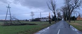 2 złamane drzewa, które zerwały linie energetyczne w Dzierzążnie