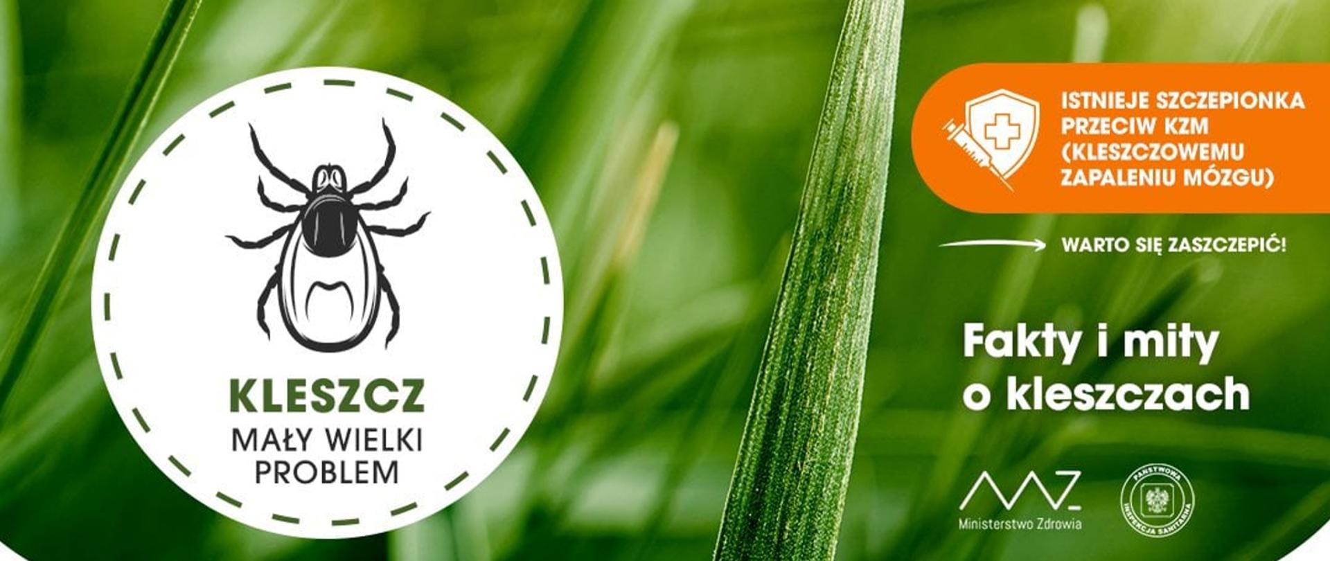 Fakty i mity o kleczczach