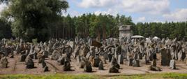 Upamiętniliśmy 82. rocznicę buntu w Obozie Zagłady Treblinka II, fot. Danuta Matloch/MKiDN