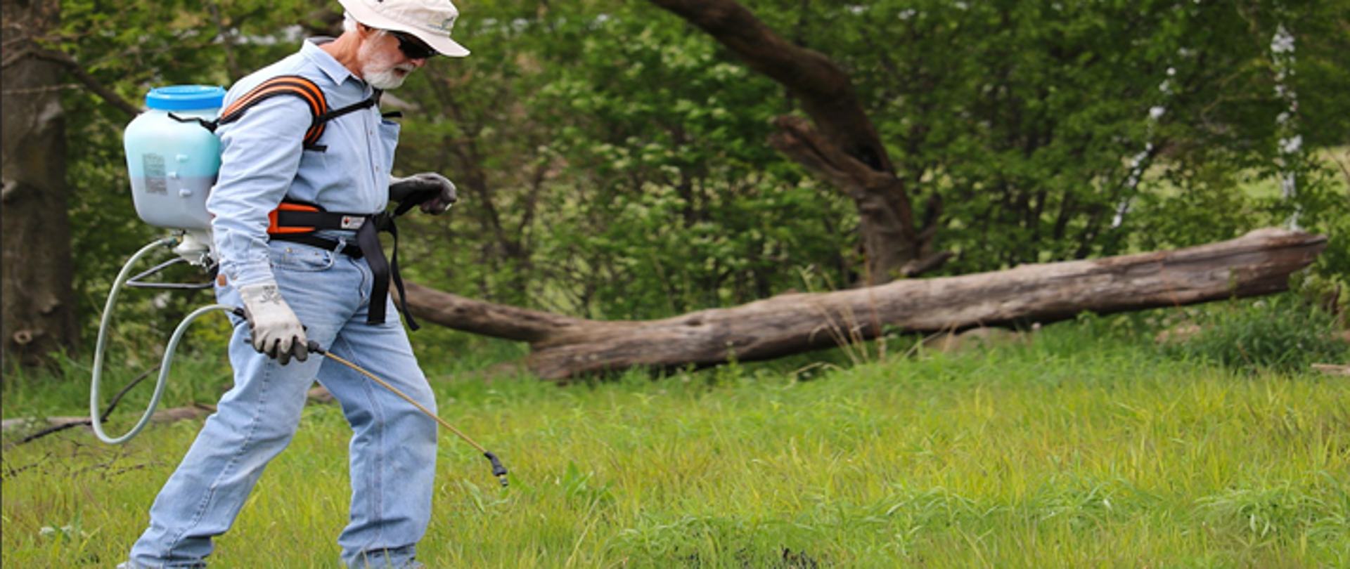 Mężczyzna z opryskiwaczem plecakowym w rękawicach ochronnych opryskuje teren zielony