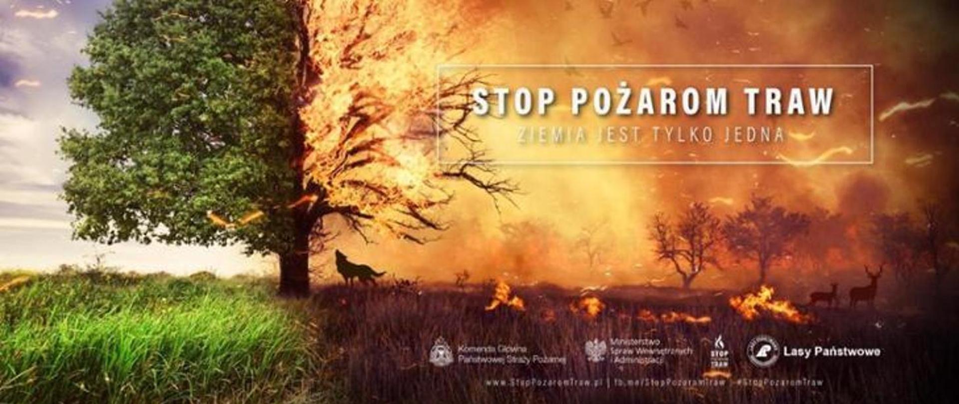 Plakat społeczny z hasłem „Stop Pożarom Traw. Ziemia Jest Tylko Jedna”. Obraz jest podzielony na pół: lewa strona przedstawia tętniącą życiem zieloną łąkę i zdrowe drzewo, natomiast prawa strona ukazuje ten sam krajobraz trawiony przez gwałtowny pożar, w którym giną drzewa i uciekają zwierzęta. Grafika ma charakter edukacyjno-ostrzegawczy i przedstawia drastyczny kontrast między nienaruszoną naturą a niszczycielską siłą ognia. Po lewej stronie widoczna jest soczysta, zielona łąka pokryta gęstą trawą. Rośnie na niej duże, rozłożyste drzewo o bogatym, zielonym ulistnieniu. Panuje tu spokój i harmonia. Prawa część obrazu to dramatyczna scena pożaru. Linia ognia gwałtownie przecina drzewo dokładnie na pół – jego prawa strona stoi w wielkich płomieniach i unosi się z niej gęsty dym. Łąka zamienia się w spaloną, czarną ziemię, na której wciąż tlą się płomienie. W tle widać sylwetki uciekających jelenia i sarny oraz wyjącego wilka u podnóża drzewa. Niebo ma złowrogi, pomarańczowo-brunatny kolor od ognia i dymu. W centralnej, górnej części, wewnątrz delikatnej ramki, znajduje się duży biały napis: „Stop Pożarom Traw”, a pod nim mniejszy: „Ziemia Jest Tylko Jedna”. Na dole grafiki umieszczono białe logotypy instytucji odpowiedzialnych za kampanię: Komendy Głównej Państwowej Straży Pożarnej, Ministerstwa Spraw Wewnętrznych i Administracji oraz Lasów Państwowych, wraz z adresami stron internetowych i hasztagiem #StopPozaromTraw.