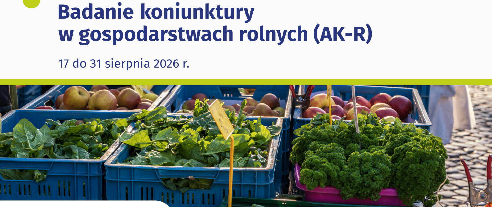 Plakat przedstawiający owoce i warzywa prawdopodobnie na straganie i podpis Badanie koniunktury w gospodarstwach rolnych