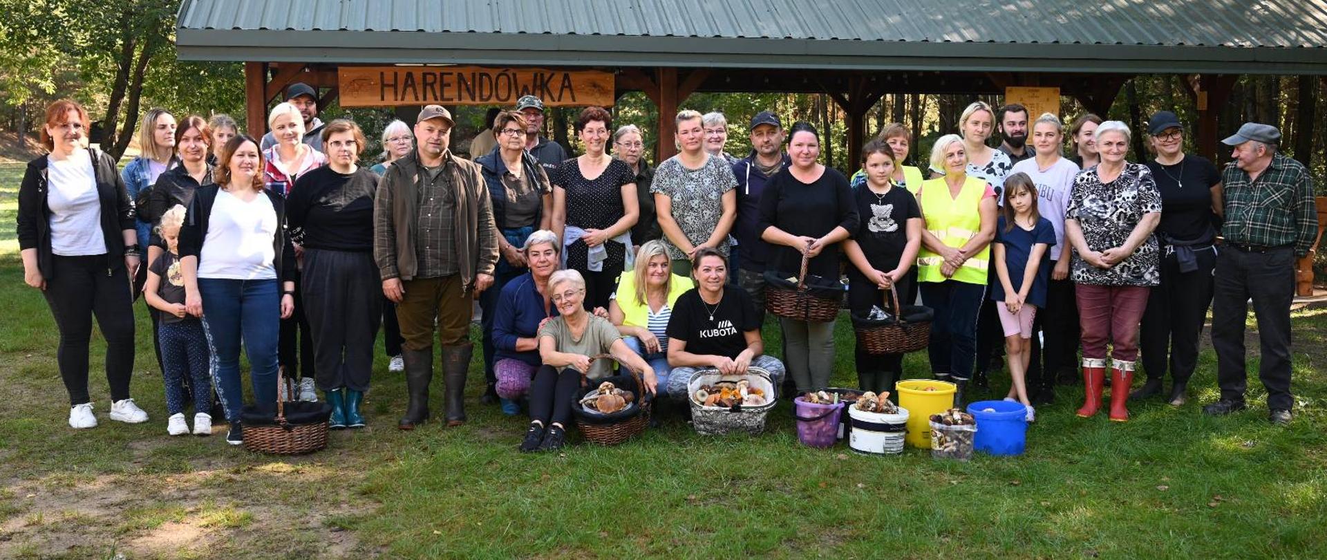GRZYBOBRANIE NA POLANIE