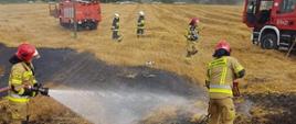 Na zdjęciu strażacy gaszą pożar ścierniska