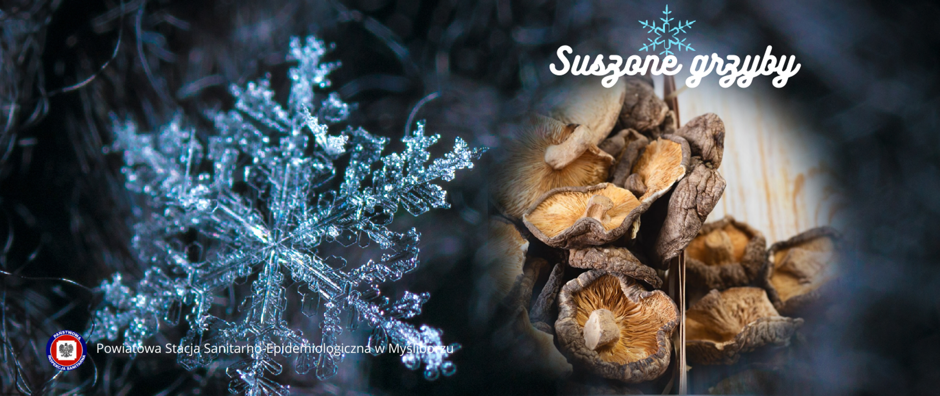 Baner Suszone grzyby