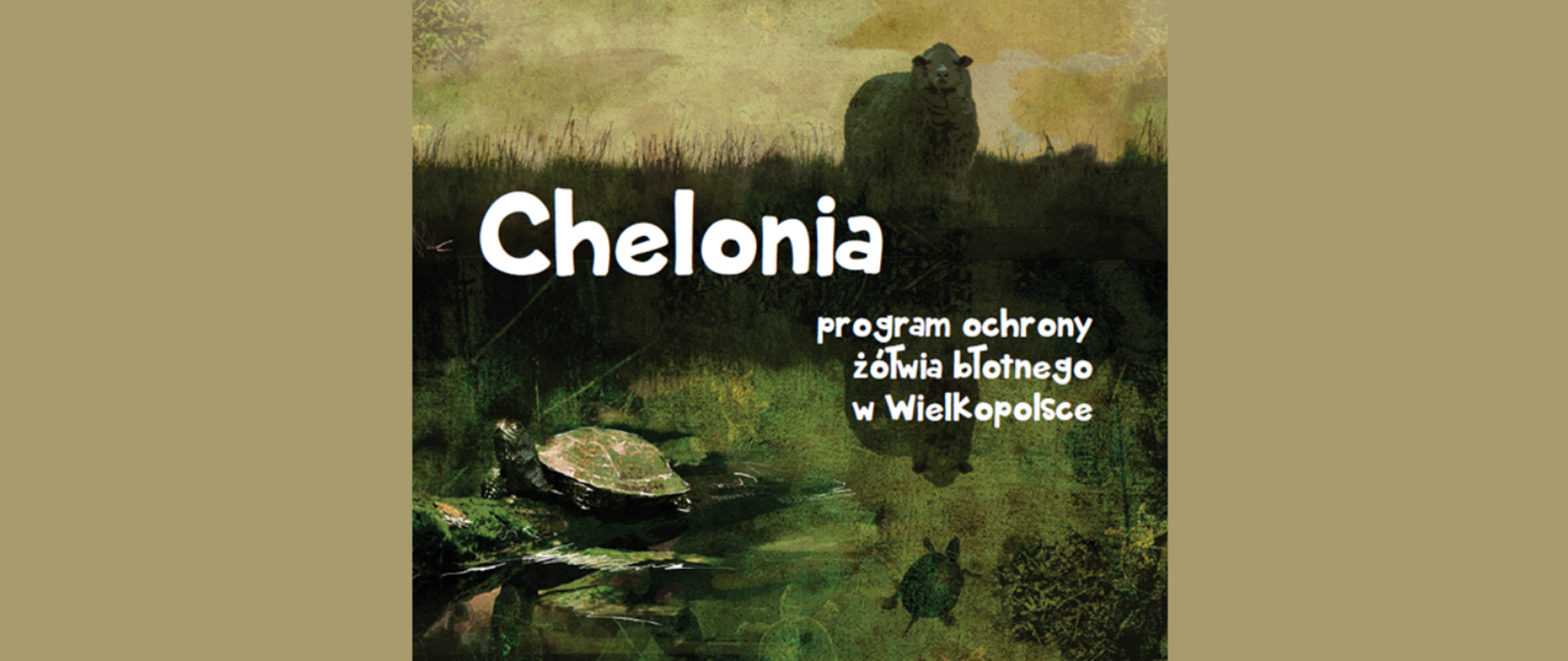 Rysunek przedstawiający żółwie przy zbiorniku wodnym, w tle nad brzegiem stoi owca. Na środku biały napis Chelonia – Program Ochrony żółwia błotnego w Wielkopolsce