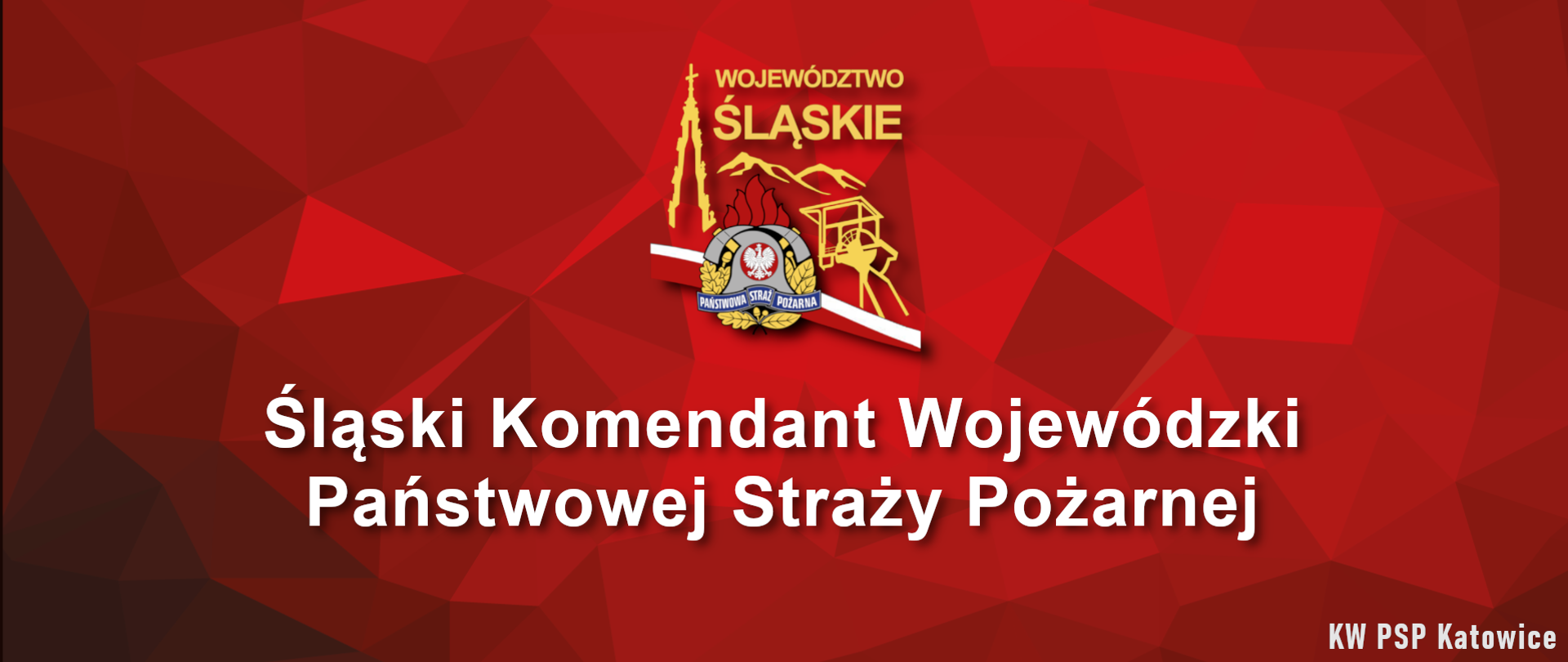 Grafika utrzymana w czerwonej kolorystyce. Tło ma strukturę geometryczną, a w centralnej części umieszczono logotyp oraz duży, biały napis. Na samej górze znajduje się złoty, drukowany napis: WOJEWÓDZTWO ŚLĄSKIE. Pod napisem umieszczono uproszczone, złote kontury symbolizujące charakterystyczne elementy województwa śląskiego (m.in. zarys wieży jasnej Góry, szybu kopalnianego oraz pasma górskiego). W kontury wkomponowane jest logo Państwowej Straży Pożarnej. Składa się ono z płomienia, pod którym jest srebrny hełm strażacki skierowany w lewo. Pod hełmem widoczny jest fragment granatowej wstęgi z białym napisem „PAŃSTWOWA STRAŻ POŻARNA” oraz stylizowane, złote liście laurowe i dwa toporki strażackie. W centrum hełmu znajduje się mała tarcza z białym orłem na czerwonym tle (godło Polski). Całość logotypu jest przepasana ukośną, biało-czerwoną wstęgą symbolizującą barwy narodowe Polski, która biegnie od lewej do prawej strony, opadając lekko w dół.
Pod logotypem, wyśrodkowany, znajduje się duży napis w dwóch wersach, złożony białą czcionką Śląski Komendant Wojewódzki Państwowej Straży Pożarnej
W samym rogu, mniejszą, białą i wąską czcionką zapisano podpis instytucji odpowiedzialnej za grafikę KW PSP Katowice (Komenda Wojewódzka Państwowej Straży Pożarnej w Katowicach).
