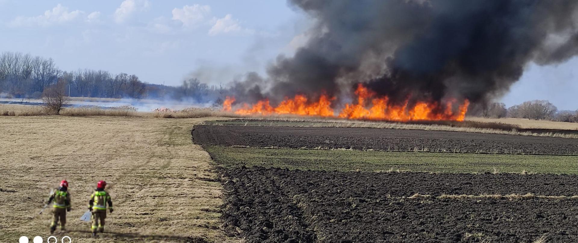 Pożary traw na nieużytkach rolnych w powiecie kazimierskim
