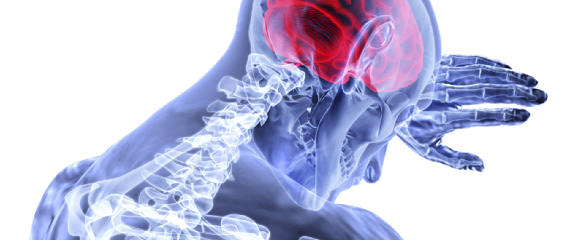 Światowy Dzień Guza Mózgu