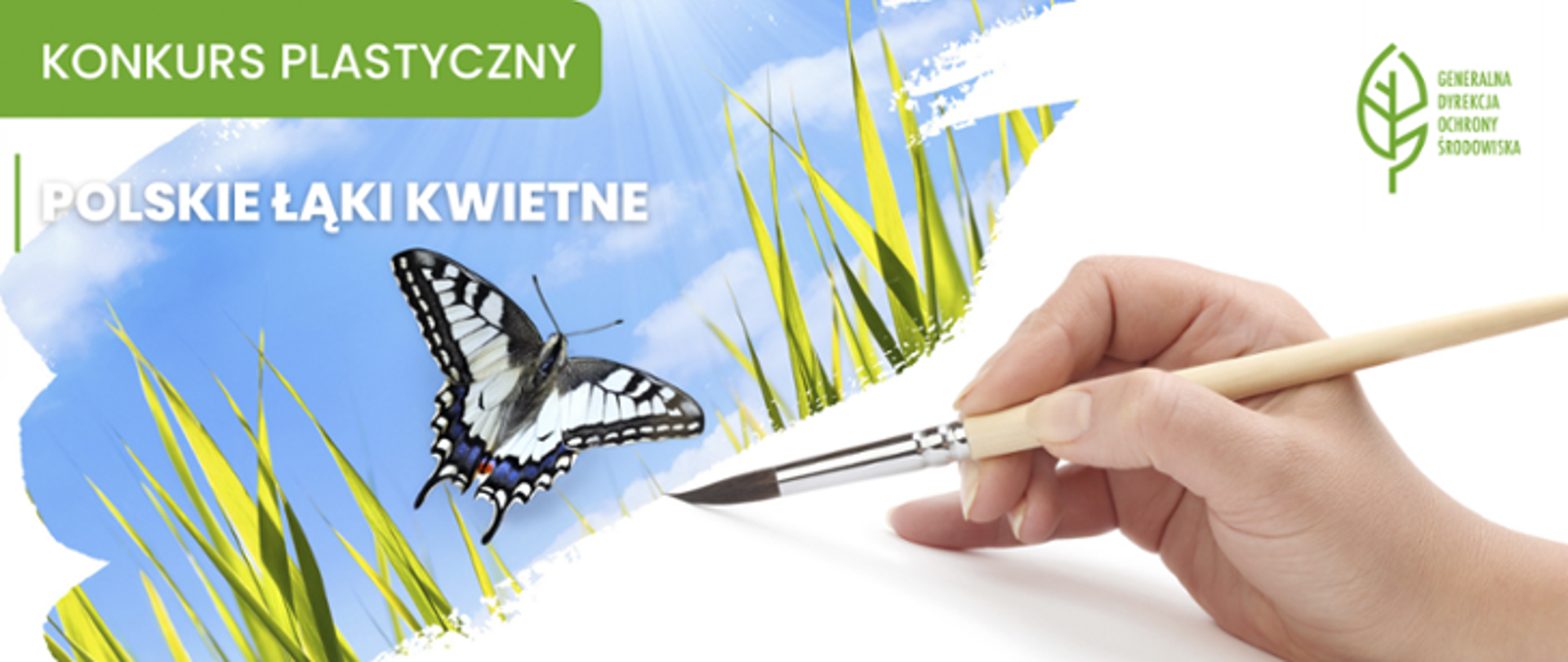 Grafika promuje konkurs plastyczny pt. „Polskie Łąki Kwietne”, organizowany przez Generalną Dyrekcję Ochrony Środowiska. Na obrazku widać kolorowy fragment z niebieskim niebem, trawą i realistycznie oddanym motylem (paź królowej). Dłoń trzymającą pędzel, który zdaje się malować ten krajobraz na białym tle. Widać napis informujący o konkursie oraz logo Generalnej Dyrekcji Ochrony Środowiska w prawym górnym rogu.
