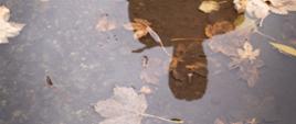 Zdjęcie przedstawia kałużę w której odbija się postać ludzka oraz leżą w niej liście.