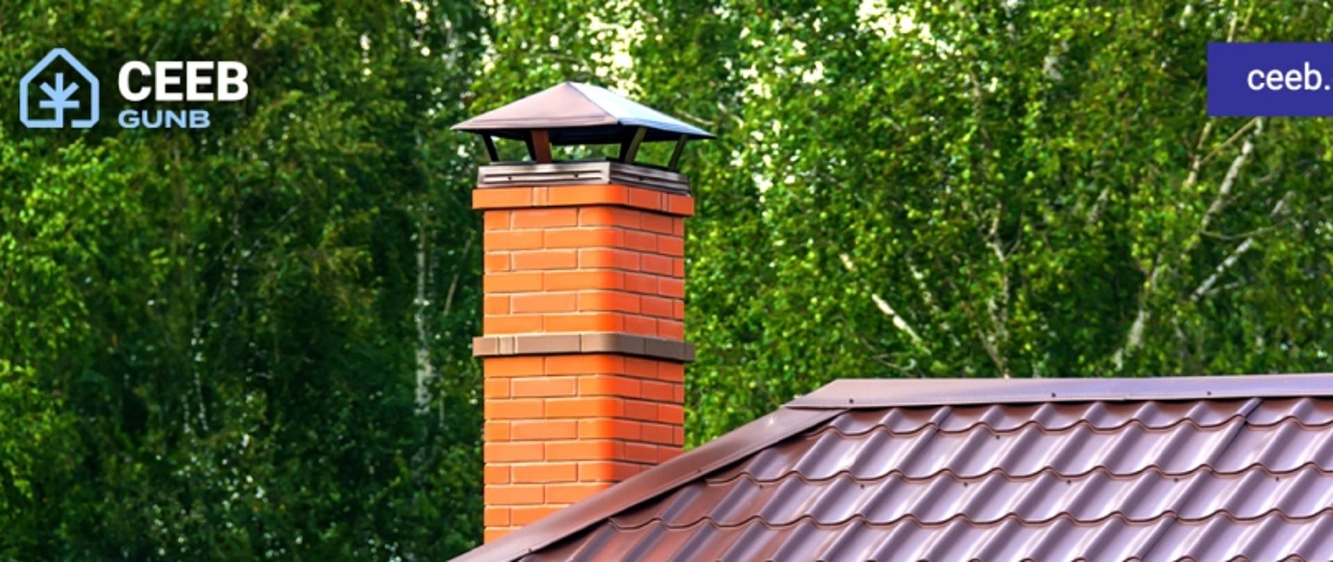 Zakład przemysłowy z wieżami chłodniczymi otoczony lasem; widok z góry z drogą asfaltową i ścieżką gruntową.