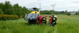 Zdjęcie przedstawia helikopter Lotniczego Pogotowia Ratowniczego do którego osoba poszkodowana jest transportowana przez ratowników. W tle widać krajobraz zielony, łąki, drzewa.
