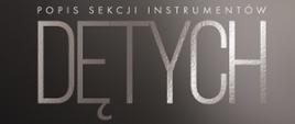 Popis sekcji instrumentów dętych - plakat_panorama
