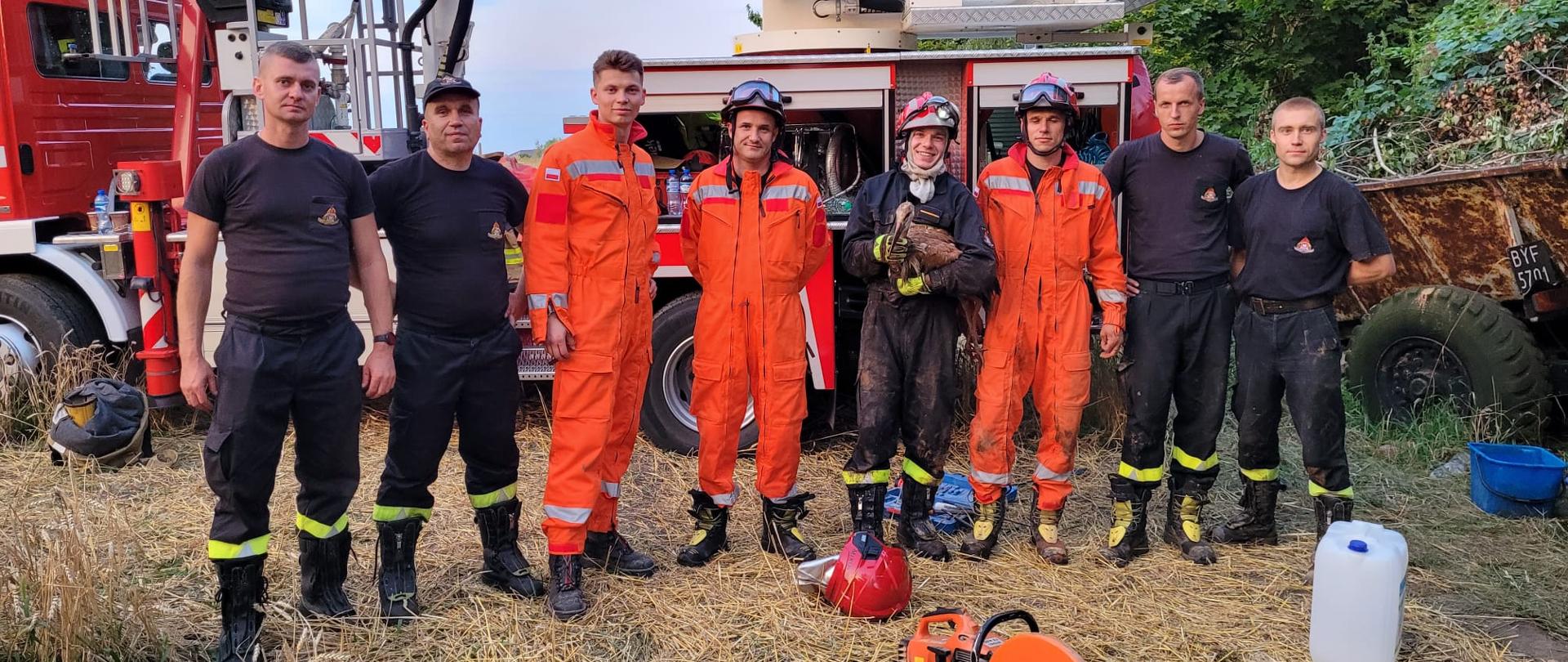 Na zdjęciu strażacy podczas ewakuacji bociana z komina