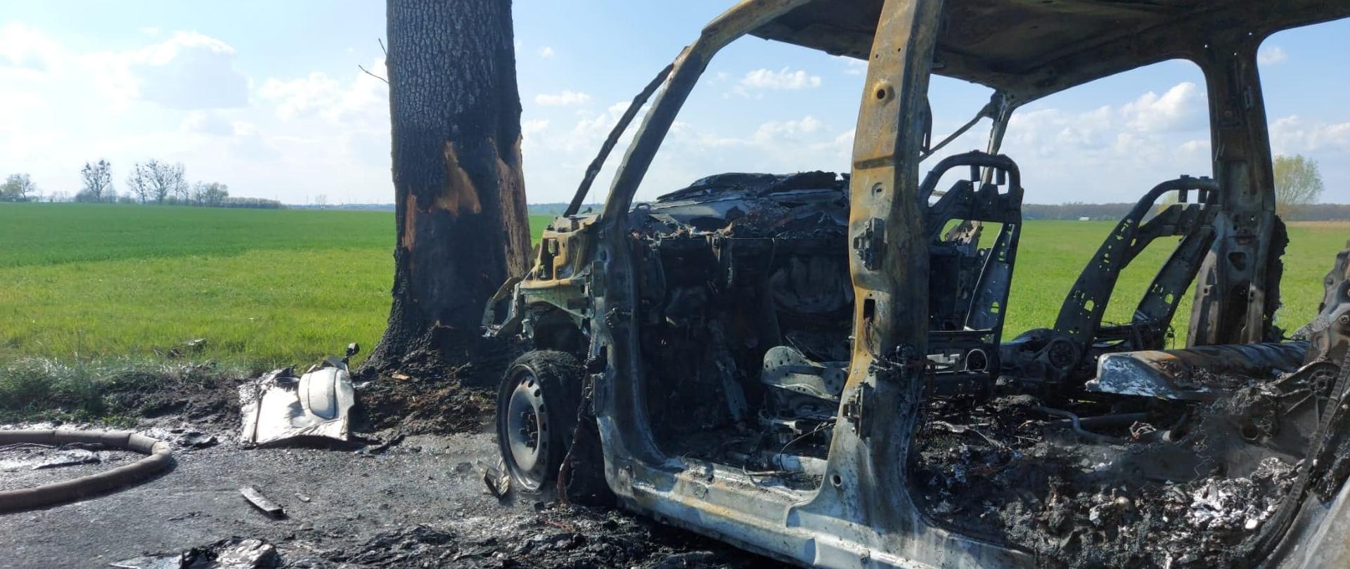 Kolizja i pożar samochodu. Droga Wilkonice-Dłoń. Na zdjęciu całkowicie spalony samochód, który wcześniej uderzył w przydrożne drzewo. Na pniu drzewa widoczne ślady uderzenia i pożaru. W tle pole porośnięte zielonym zbożem.