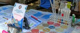 Powiatowa Stacja Sanitarno-Epidemiologiczna w Jarosławiu postawiła stanowisko edukacyjne w parku miejskim na świeżym powietrzu, gdzie umieszczono informacje na jej temat.