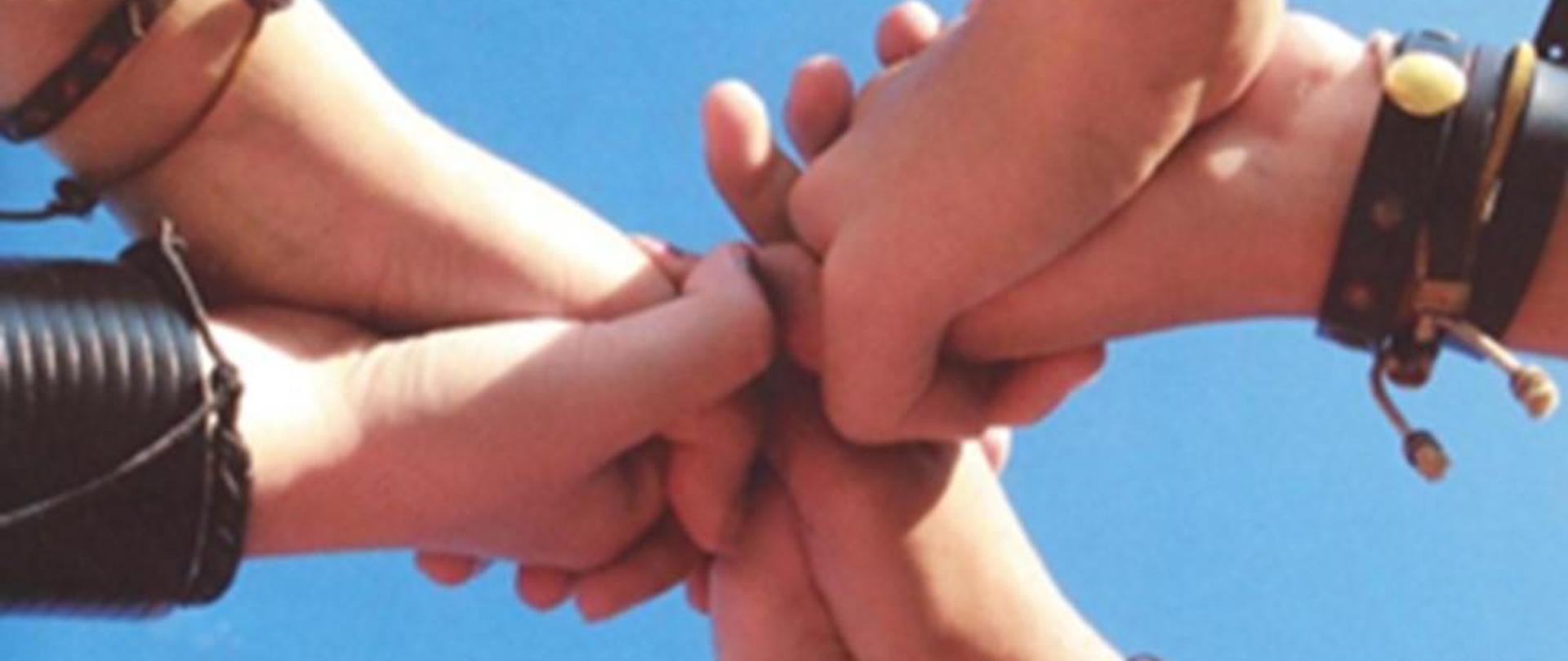 #Znajdź właściwe rozwiązanie