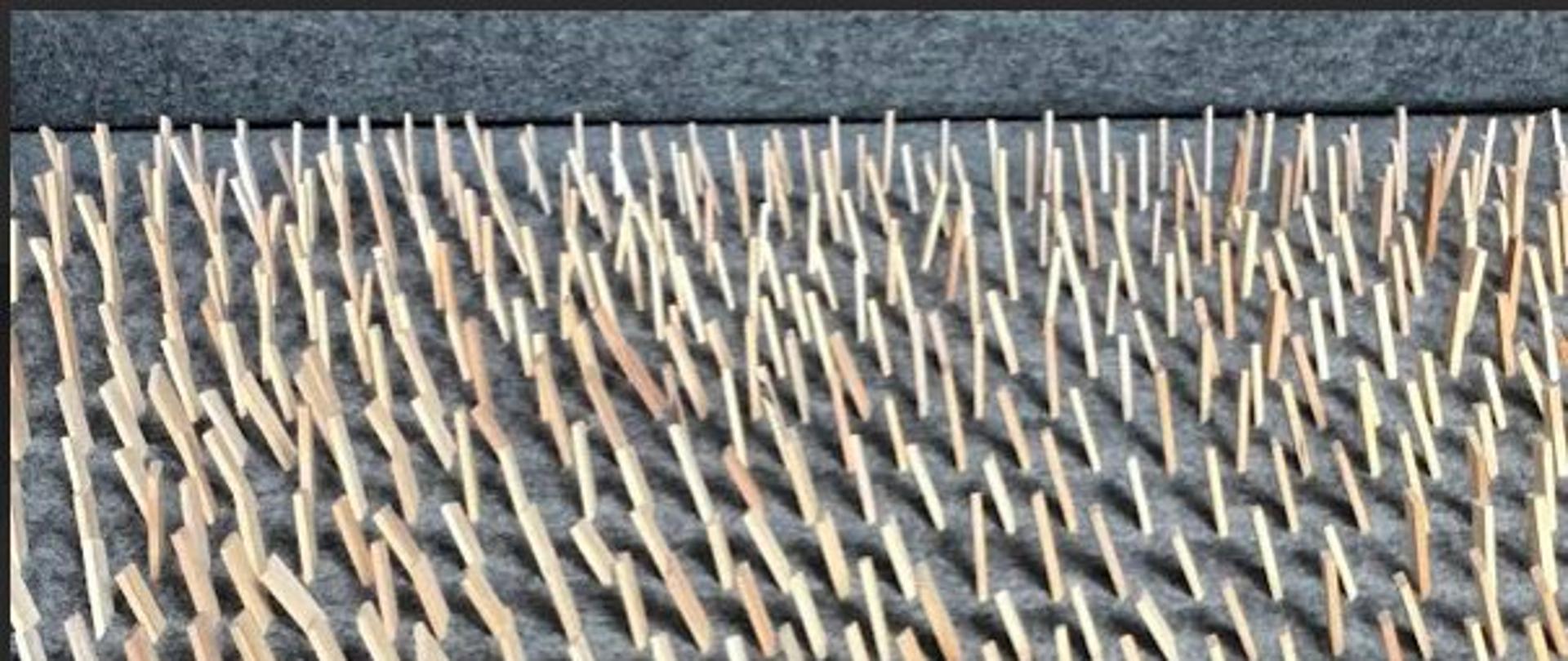 Na zdjęciu praca autorstwa Magdaleny Bezat